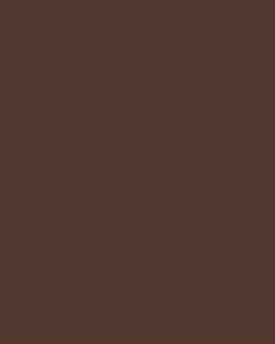 Chocolate Brown | Tech Chino Pants