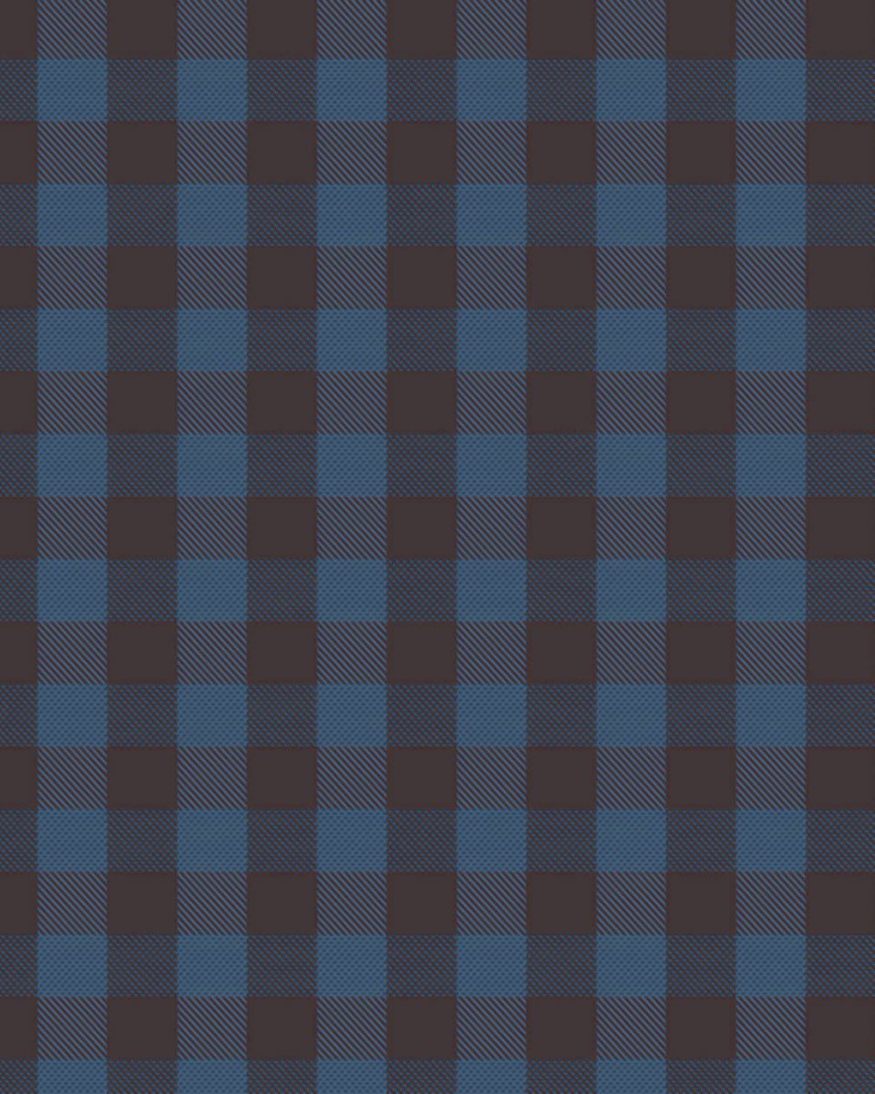 Blue Plaid | Brushed Button Down Shirt