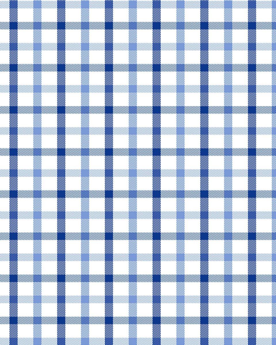 Blue and White Plaid | Stretch Button Down Shirt