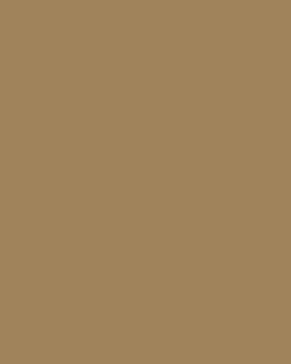 Desert Sand | Tech Chino Shorts