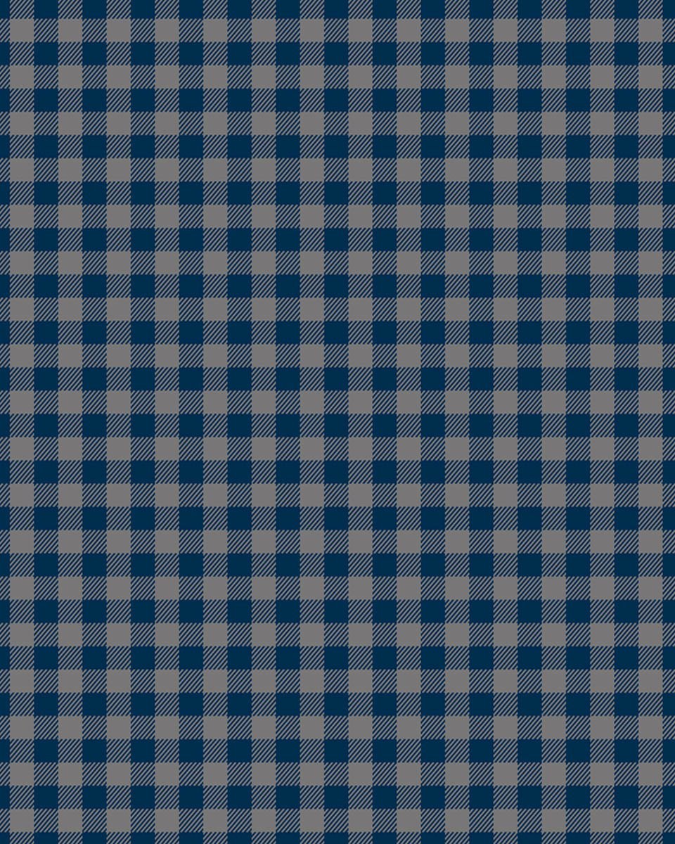 Grey Navy | Brushed Button Down Shirt