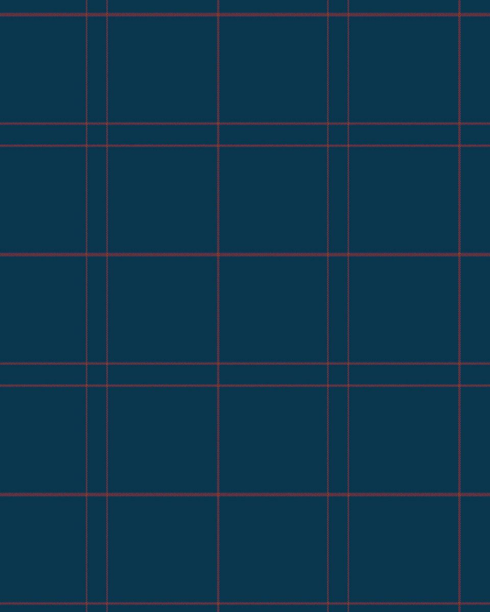 Navy Red Plaid | Stretch Button Down Shirt