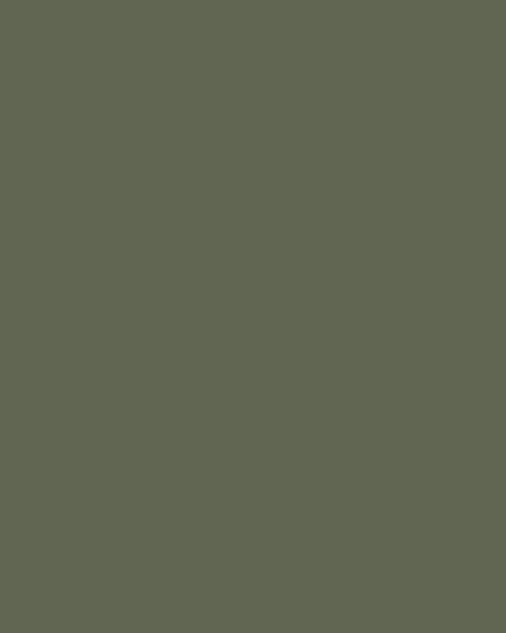 Olive | Commuter Pants