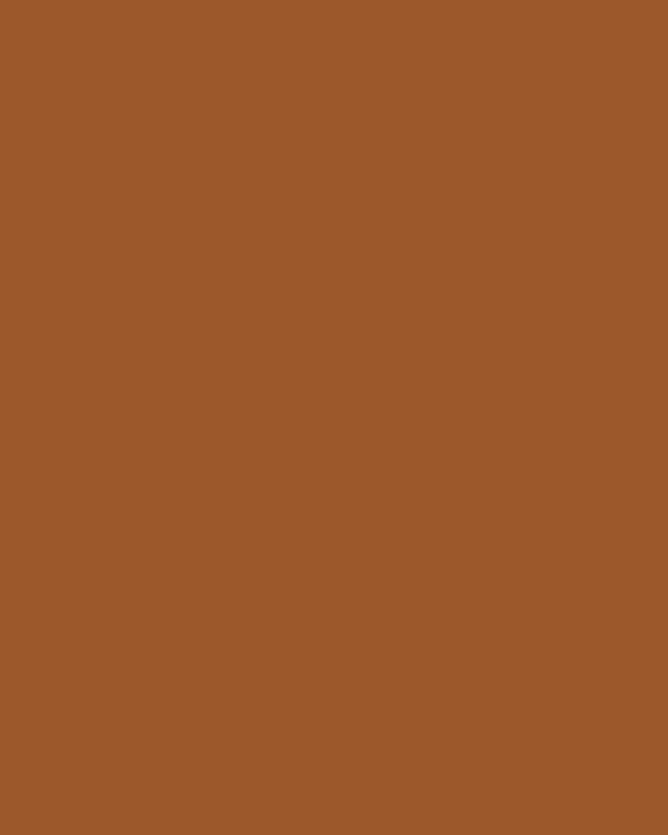 Rust | Tech Chino Pants