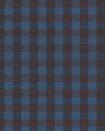 Blue Plaid | Brushed Button Down Shirt