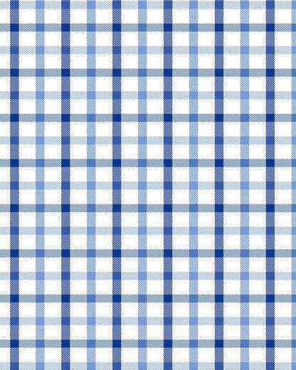 Blue and White Plaid | Stretch Button Down Shirt