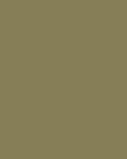 Olive | Tech Chino Shorts