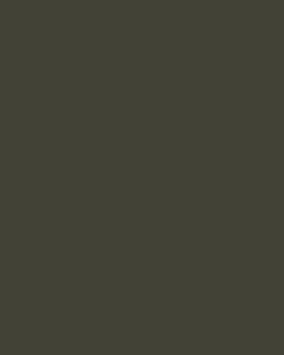 Forest Green | Warp Knit Pants