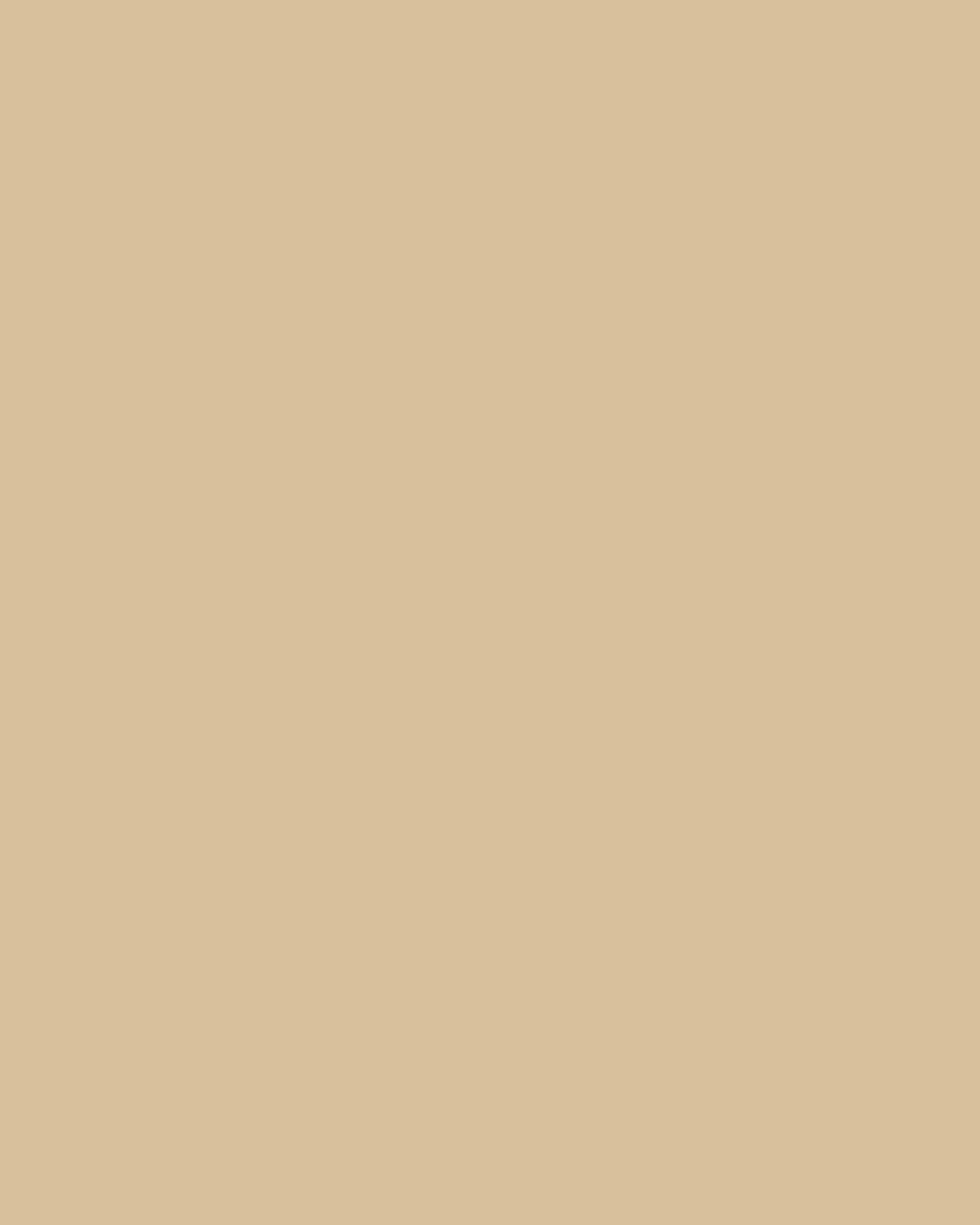 Khaki | Warp Knit Pants